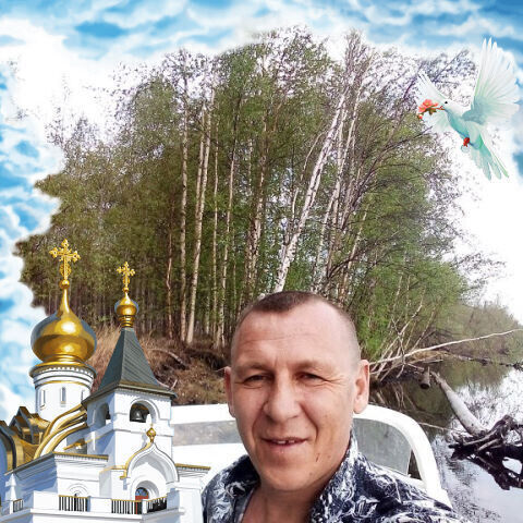 ���� 22376510 ������� �������, 53 ����, ���� ���������� � ������������