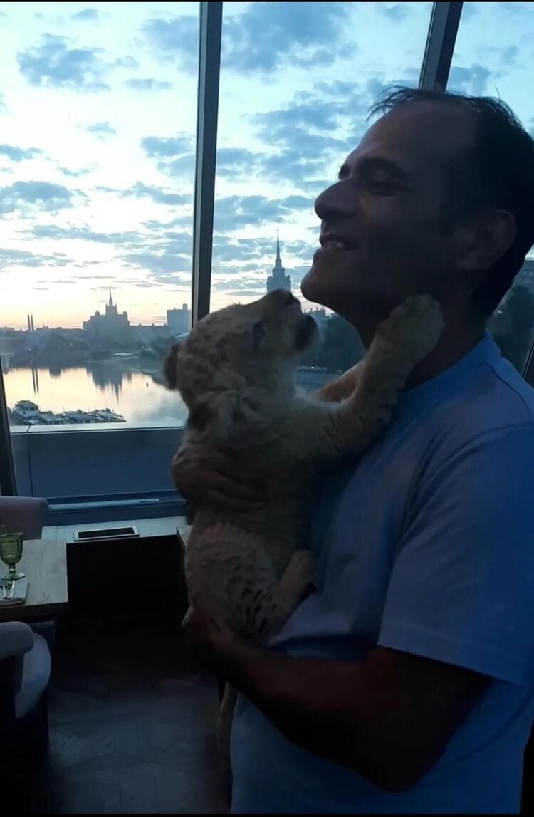 ���� 55464730 ������� ���, 48 ���, ���� ���������� � ����