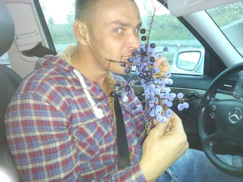  ,   , 43 ,     , c 