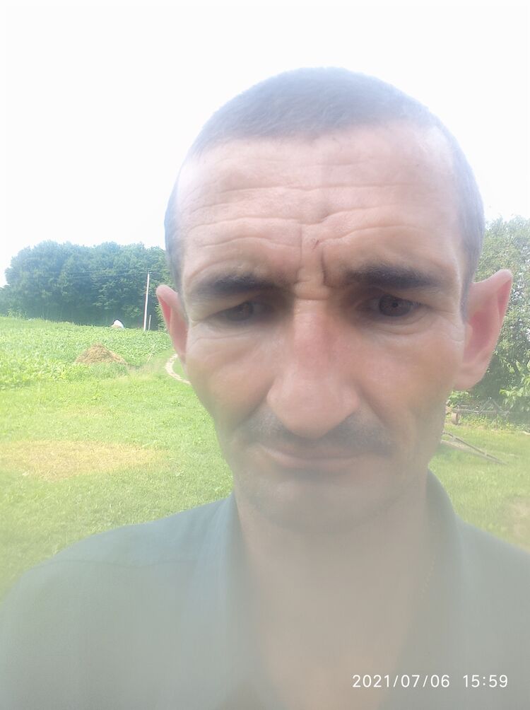  23313310  , 46 ,    