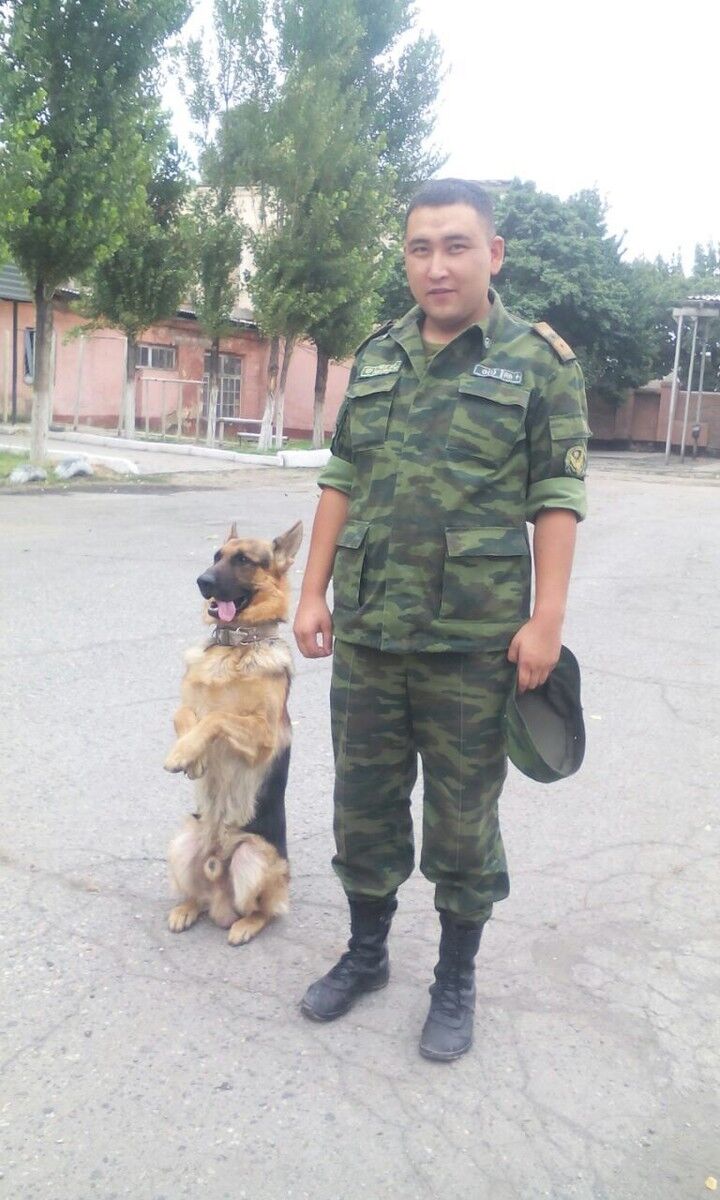 ���������� ������, ���� ������� ����, 39 ���, ������������ ��� ������, ����� � ���������, c�������� ���������