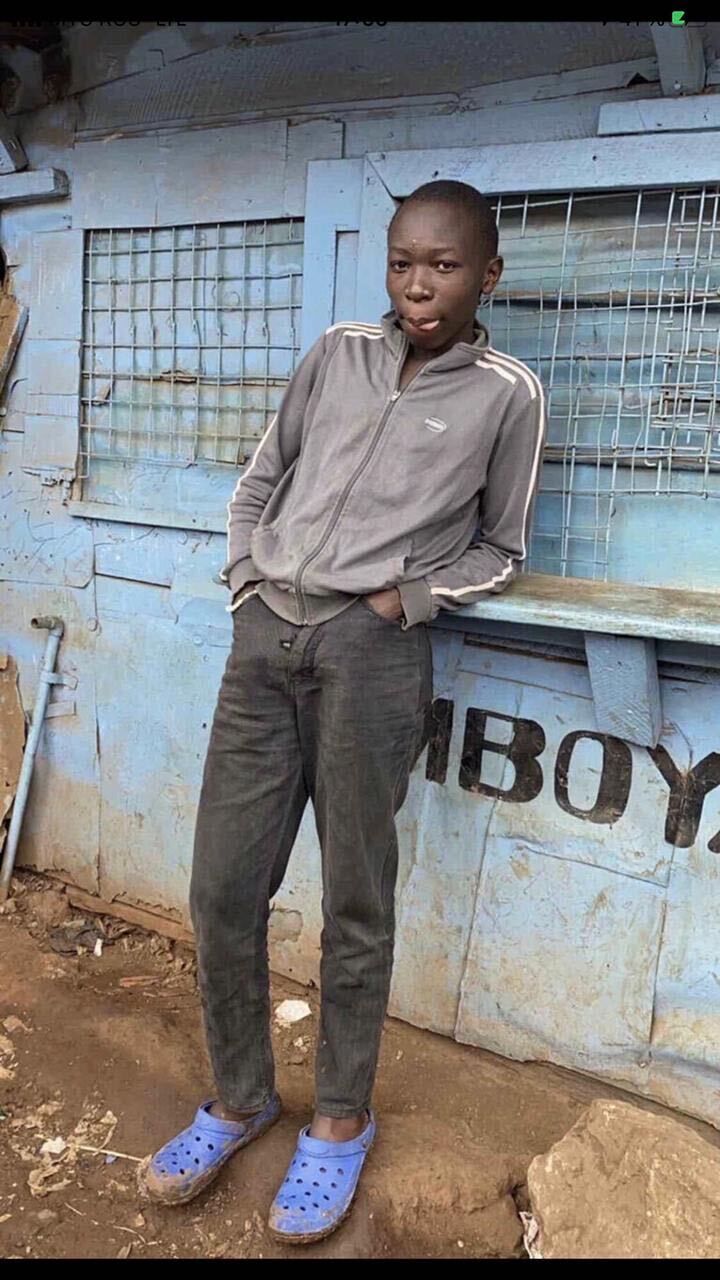 ���� 25501690 ������� Shakh, 36 ���, ���� ���������� � �������-��-����