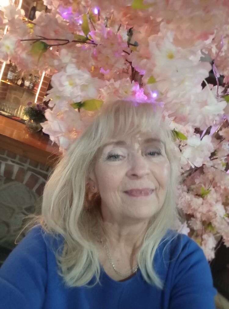 ���� 56439220 ������� Diana, 67 ���, ���� ���������� � �����������