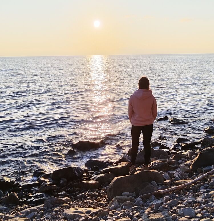 ���� 56165650 ������� ���, 42 ����, ���� ���������� � �������