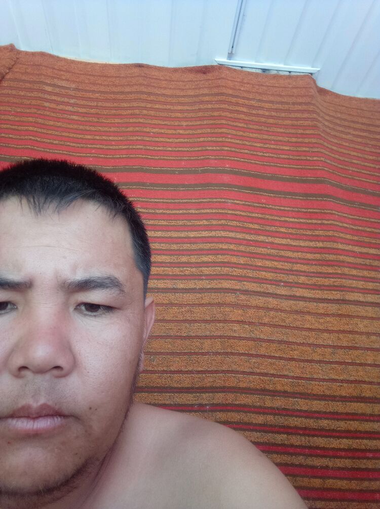  23073380  Kolya, 34 ,    