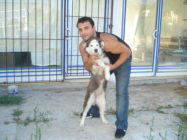  ,   CEBO, 35 ,   ,   