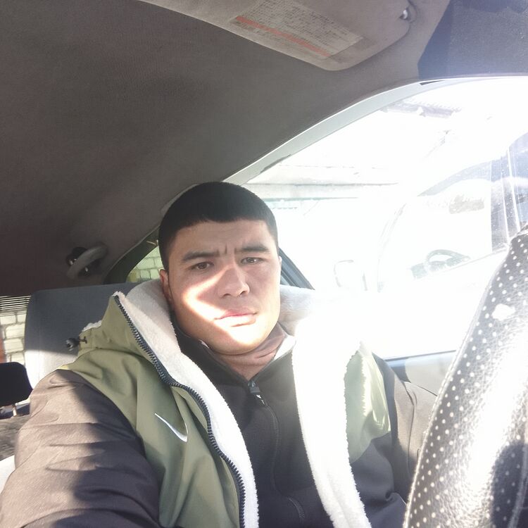 48068260  , 31 ,    