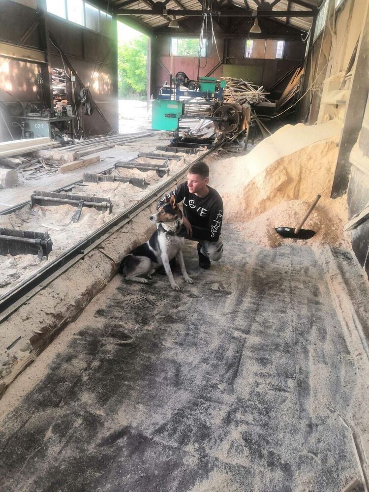 ���� 41373750 ����� �����, 25 ���, ���� ���������� � �������-��-����