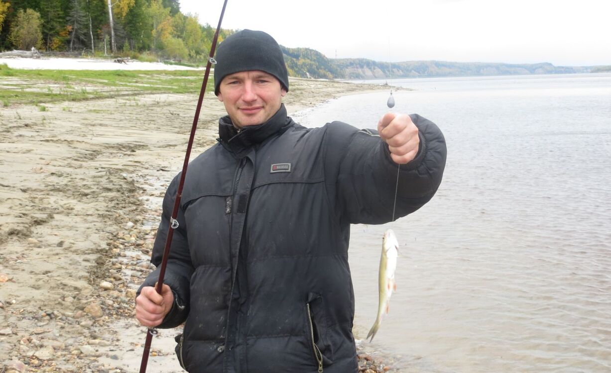 ���� 40063360 ������� ������, 41 ���, ���� ���������� � ������