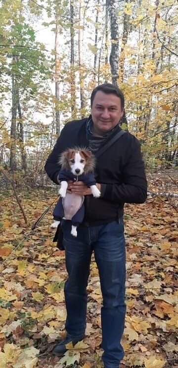 ���������� ���������, ���� ������� ��������, 50 ���, ������������ ��� ����� � ���������, c�������� ���������