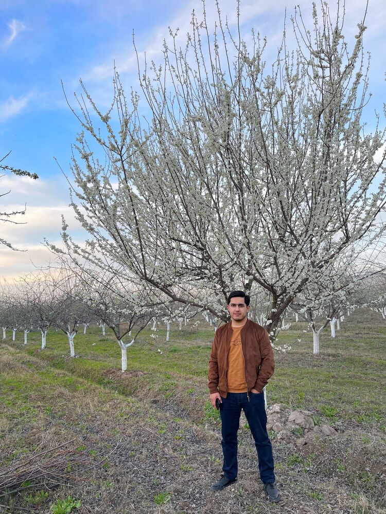 ���� 25258900 ������� �����, 27 ���, ���� ���������� � �������