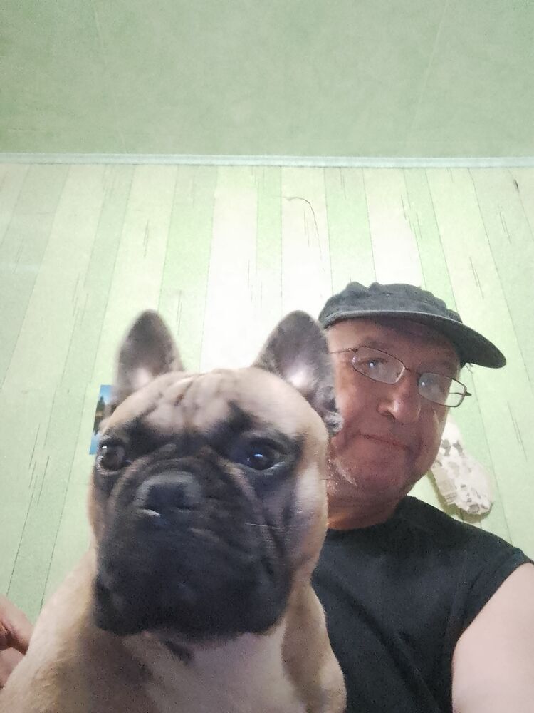 ���������� �����-���������, ���� ������� �������, 55 ���, ������������ ��� ������, ����� � ���������