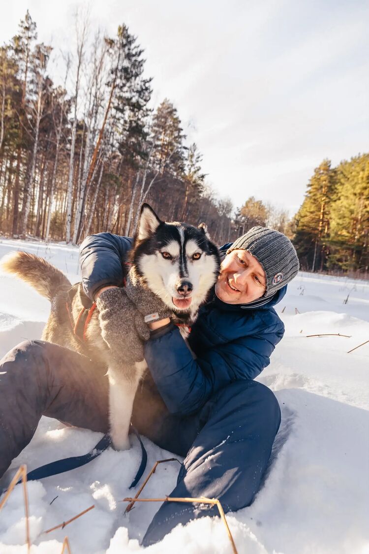 ���� 33528840 ������� �����, 36 ���, ���� ���������� � �������������