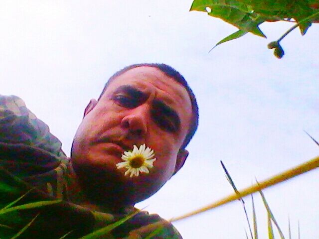  45715210  SIZ, 48 ,    