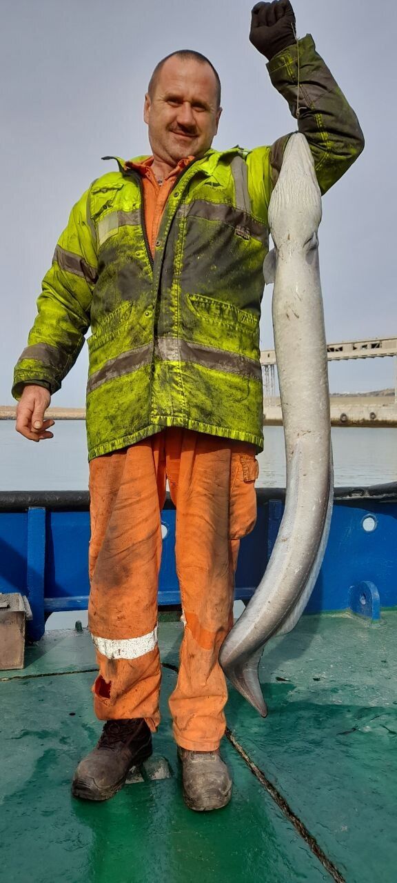 ���������� ���������, ���� ������� �����, 49 ���, ������������ ��� ������, ����� � ���������, ���������