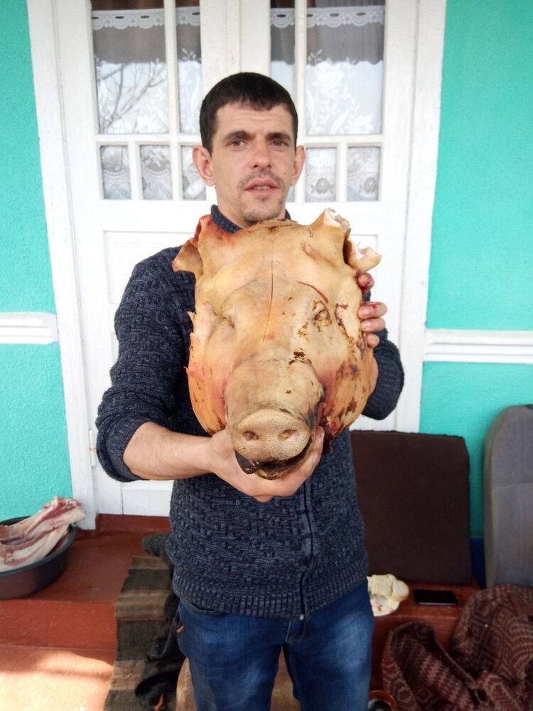  ,   Calios zama, 34 ,   ,   , c 