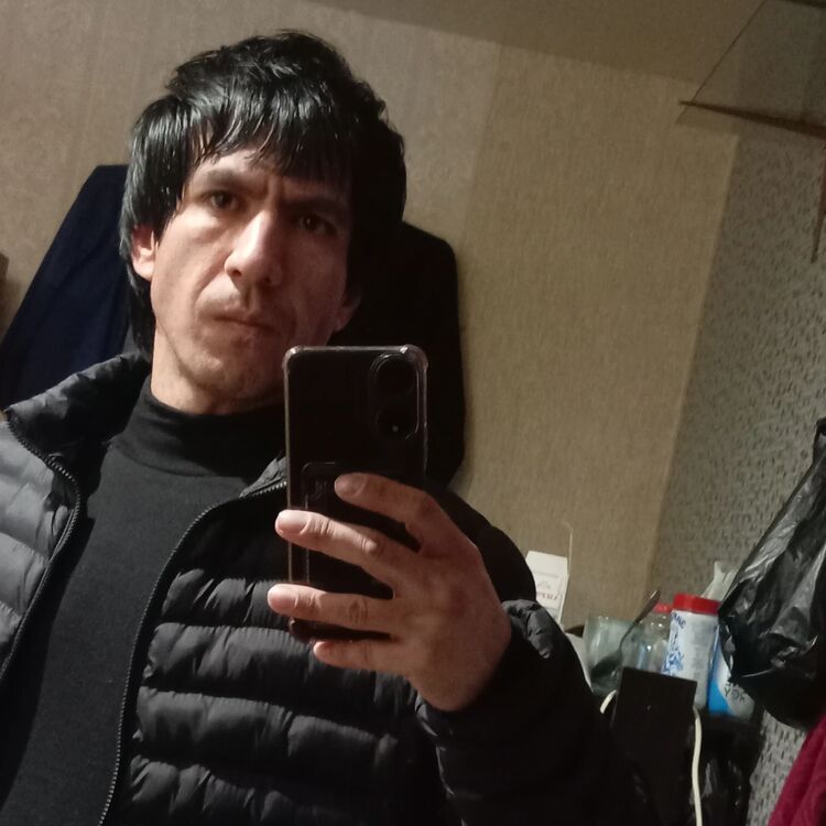  50392270  , 33 ,    