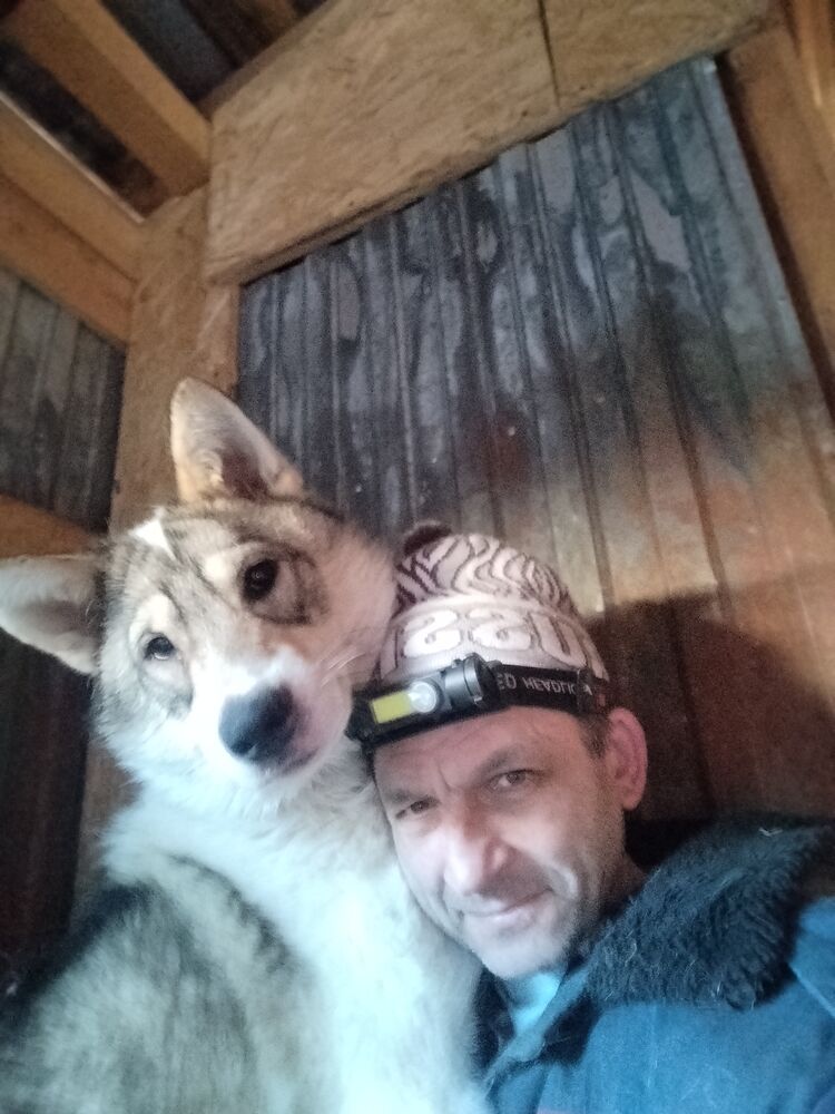 ���� 51868420 ������� ������, 53 ����, ���� ���������� � �������� ������