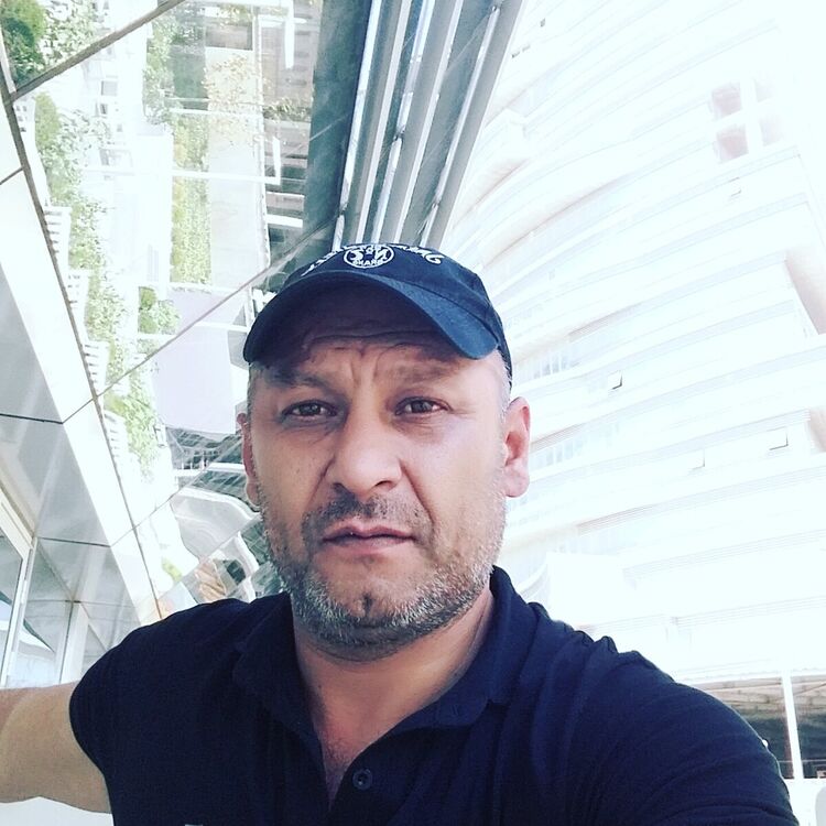 ���� 20946750 ������� Ziya, 50 ���, ���� ���������� � ����