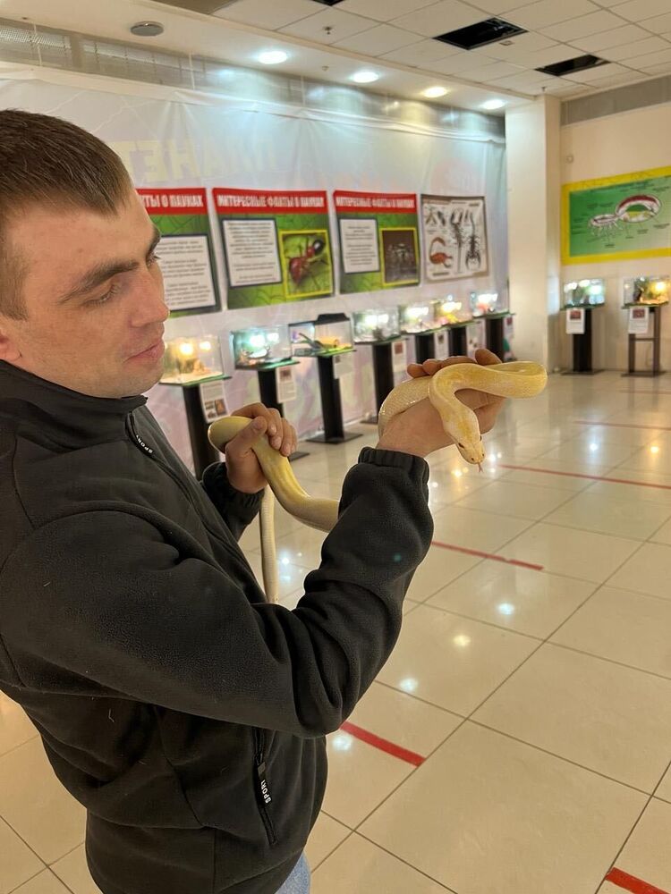 ���������� ������, ���� ������� ������, 36 ���, ������������ ��� ������, ����� � ���������