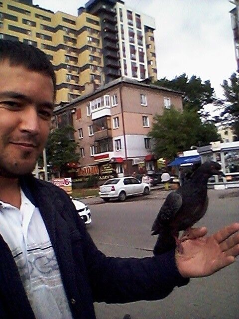 ���������� ������ ��������, ���� ������� ���, 36 ���, ������������ ��� ����� � ���������, c�������� ���������