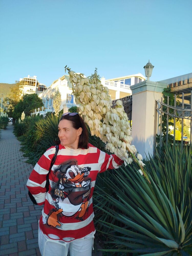 ���������� ������������, ���� ������� �������, 48 ���, ������������ ��� ������, ����� � ���������, c�������� ���������, ���������