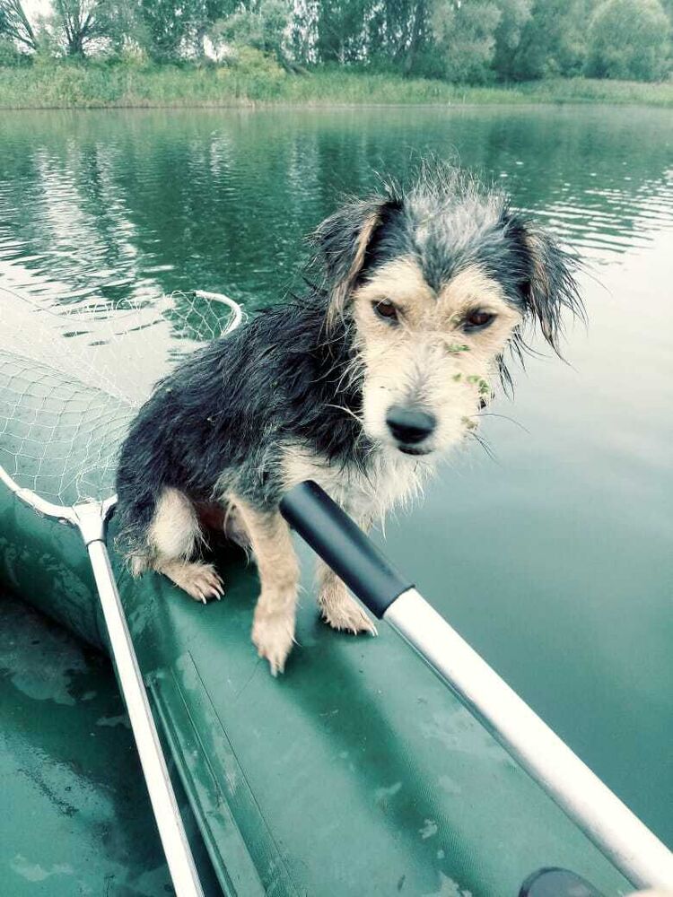 ���� 54062780 ������� ��������, 57 ���, ���� ���������� � ��������