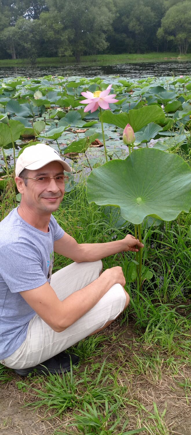 ���������� ������� ������, ���� ������� ���������, 44 ����, ������������ ��� ������, ����� � ���������, c�������� ���������