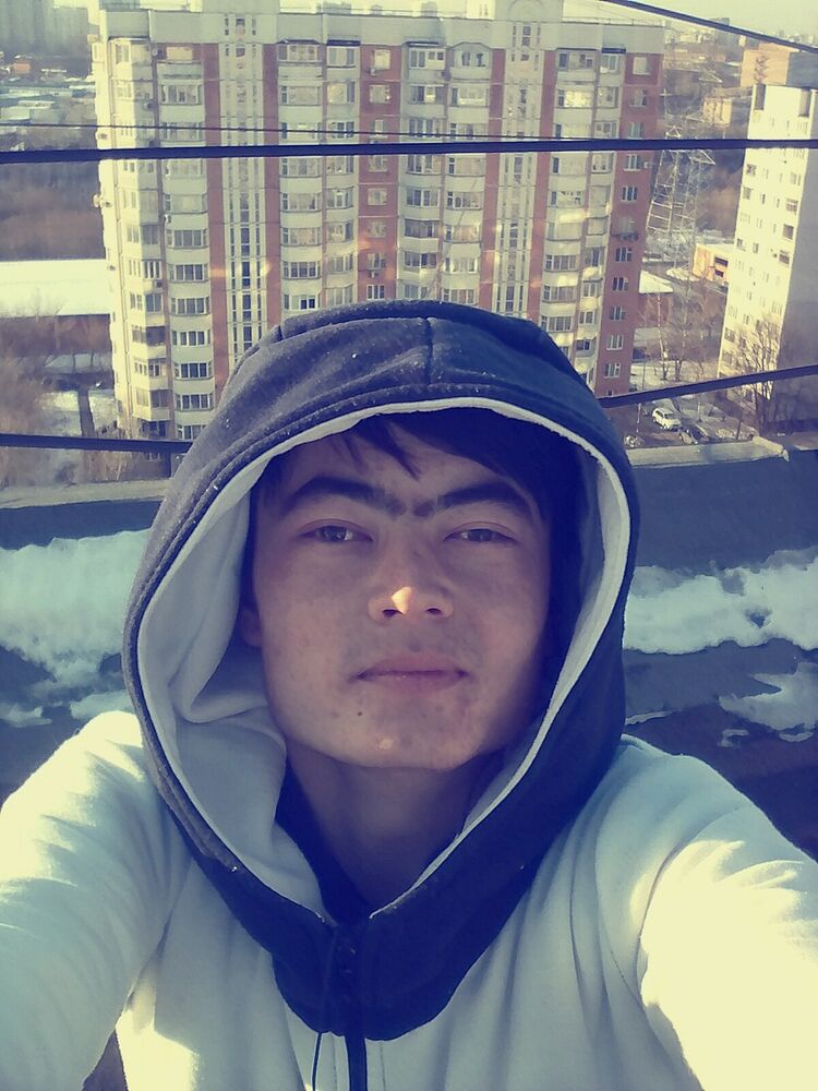  16667860  , 31 ,    