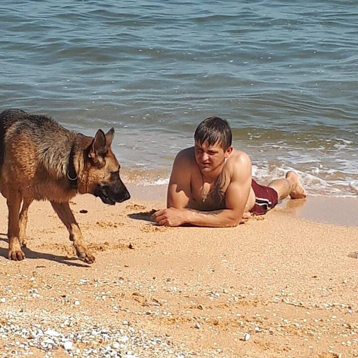 ���� 31793670 ������� ������, 30 ���, ���� ���������� � ���������������