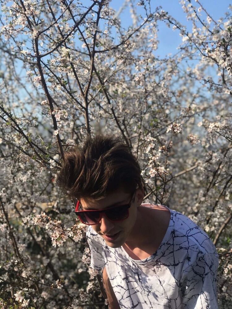 ���������� ���������, ���� ����� �������, 24 ����, ������������ ��� ������, ����� � ���������, ���������