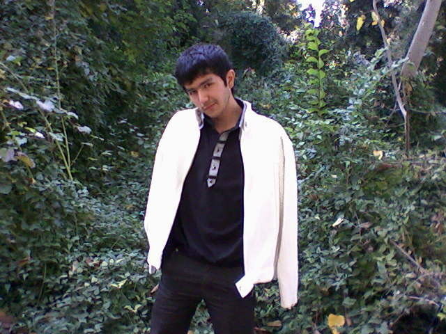 ,   AZB, 37 ,     , c 
