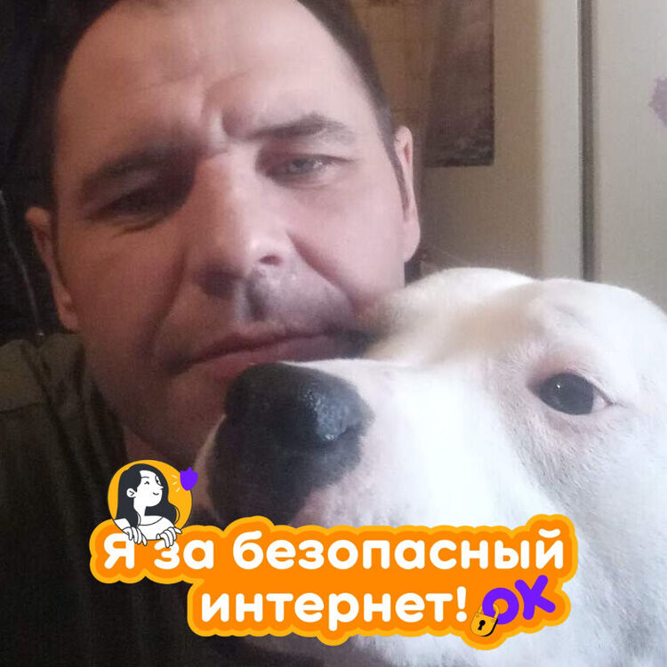  34595940  , 40 ,    