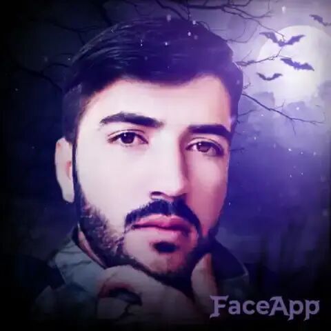  24051610  , 29 ,    -