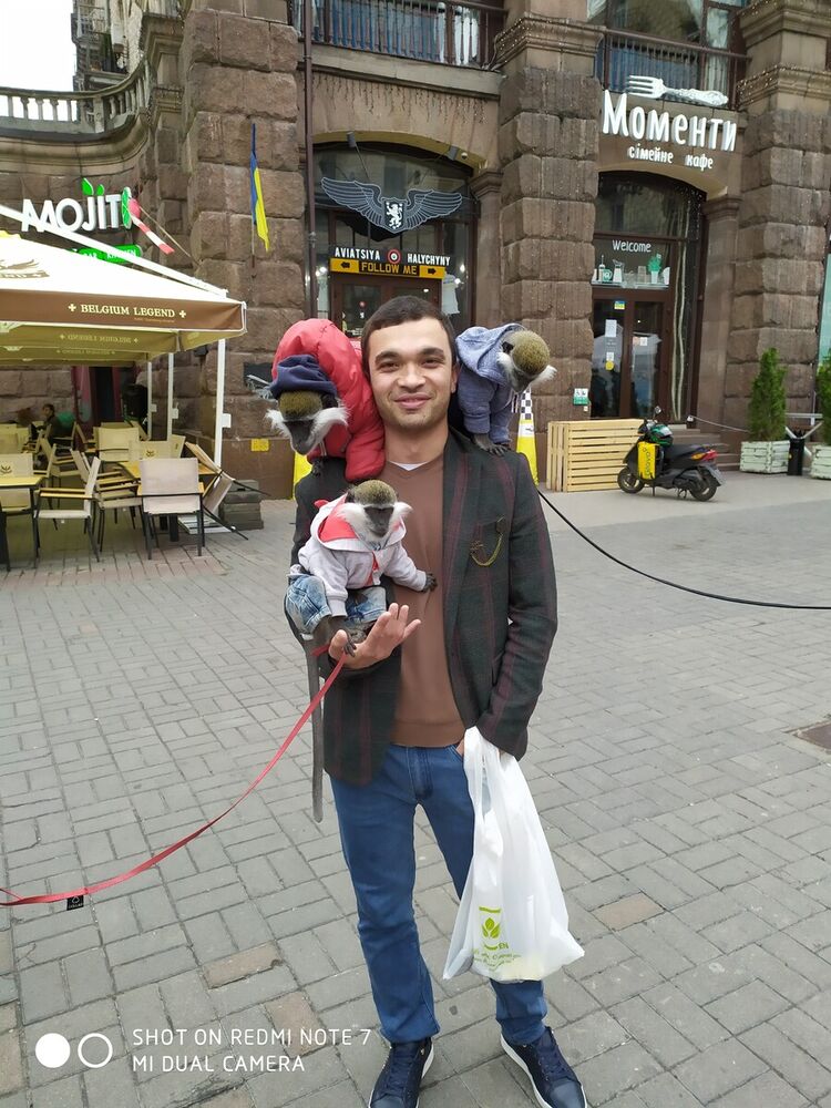 ���� 20277620 ������� ����, 35 ���, ���� ���������� � ������