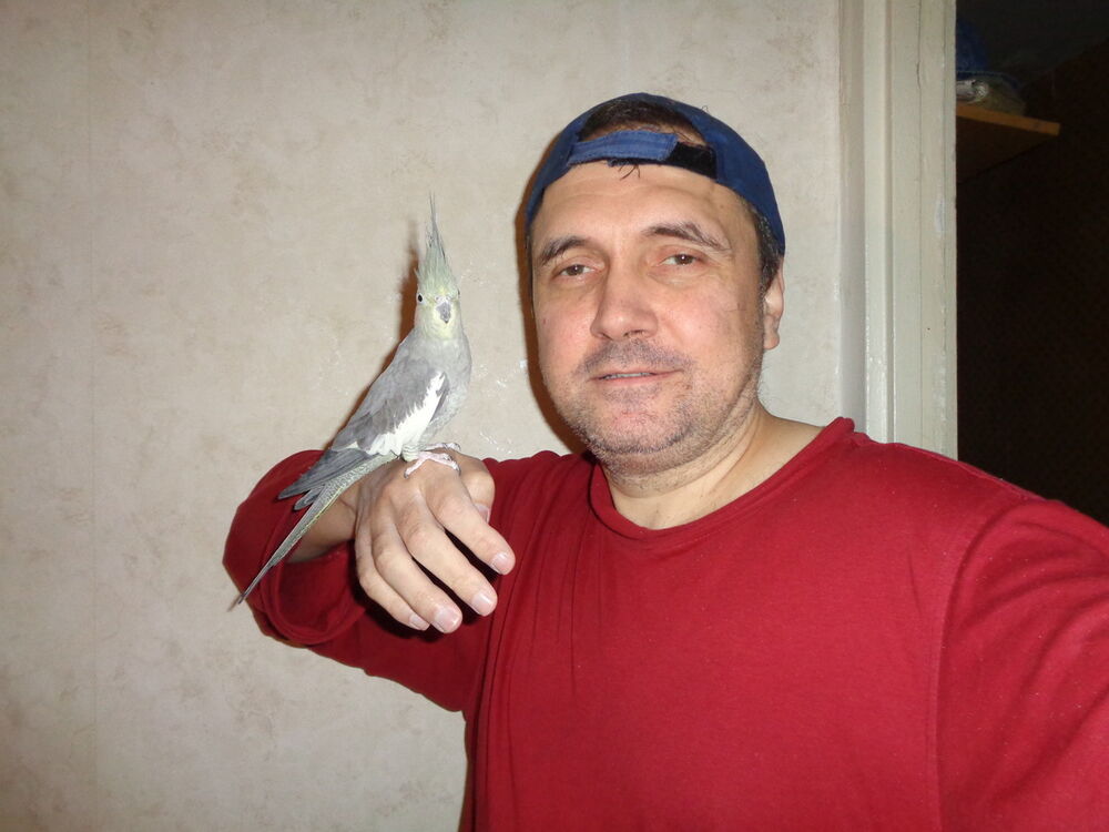  ,   , 52 ,   ,   , c 