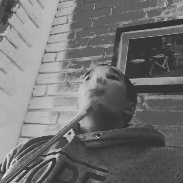 ���� 11051140 ������� Serk, 32 ����, ���� ���������� � ������