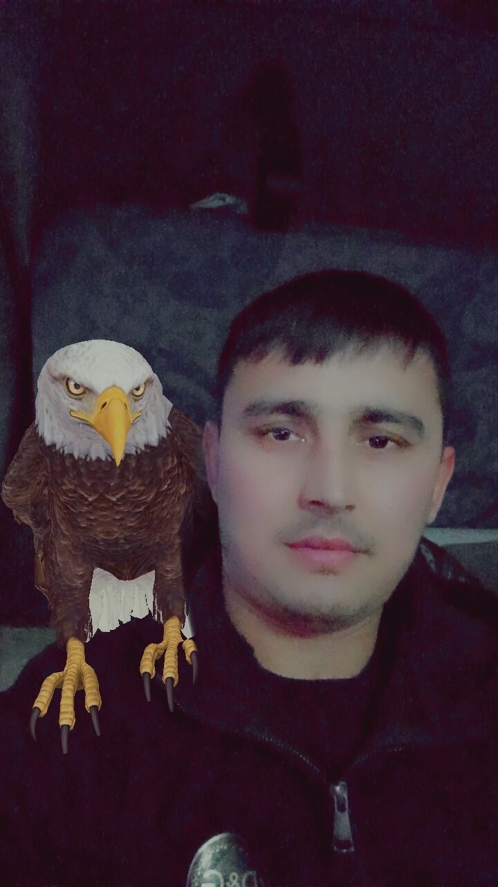  39467310  , 31 ,    