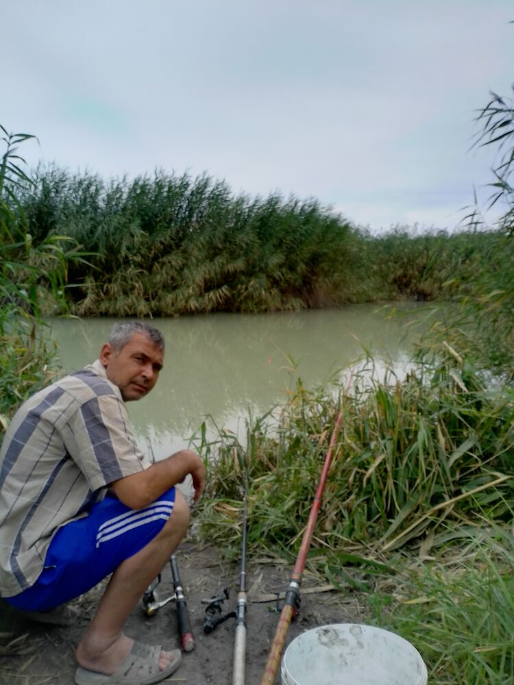 ���� 24894800 ������� ���������, 51 ���, ���� ���������� � ������