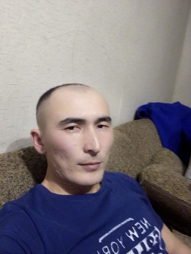 41346230  , 33 ,    
