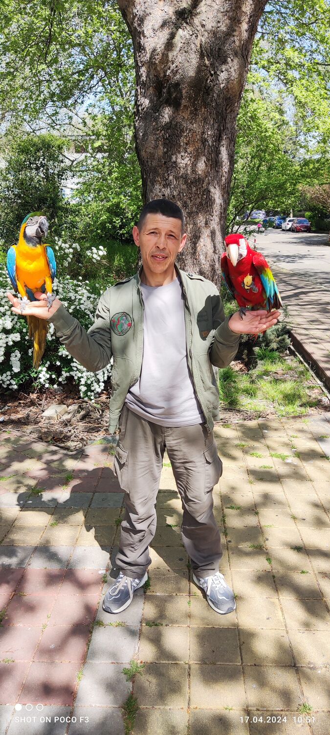 ���������� ������, ���� ������� ������, 45 ���, ������������ ��� ������, c�������� ���������, ���������