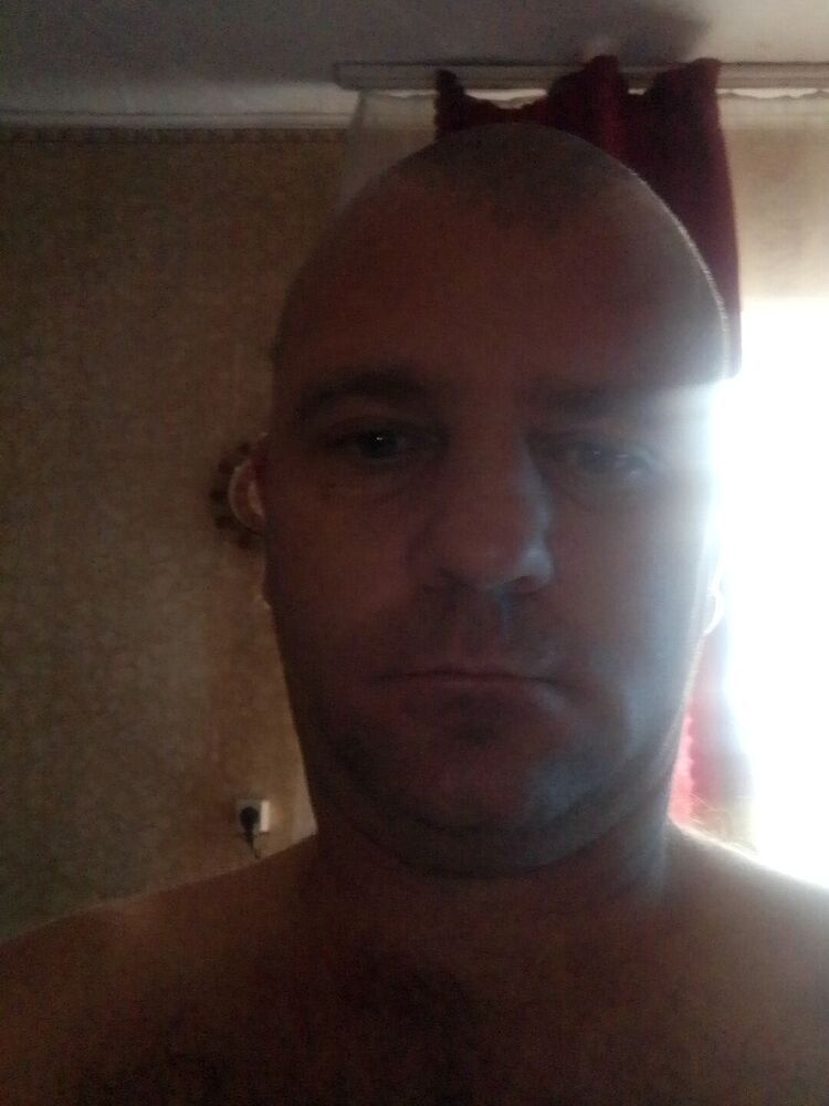  29518210  , 40 ,    