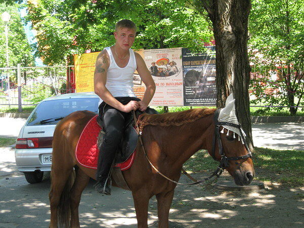 ���� 4828260 ������� Vanek, 37 ���, ���� ���������� � ����������