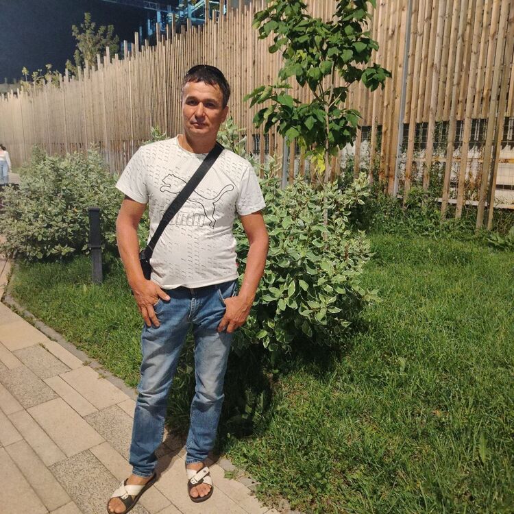  47785850  , 44 ,    