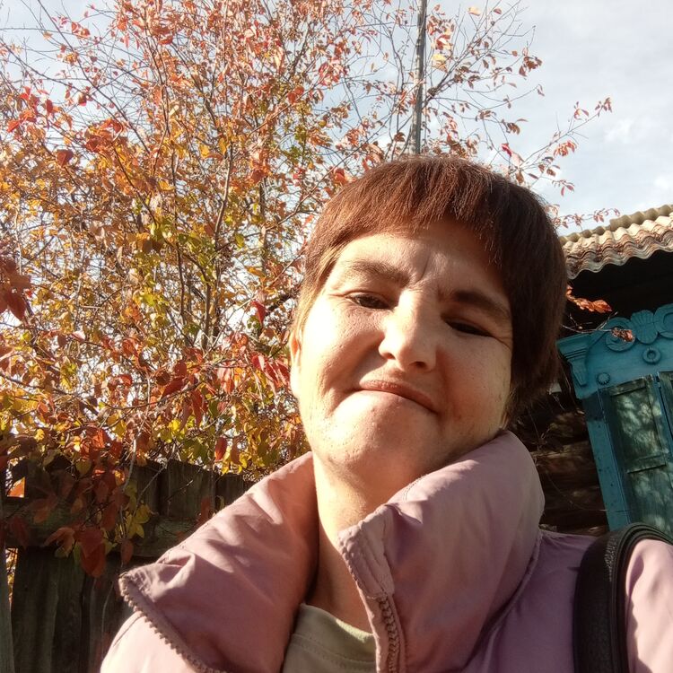  46564550  , 40 ,    