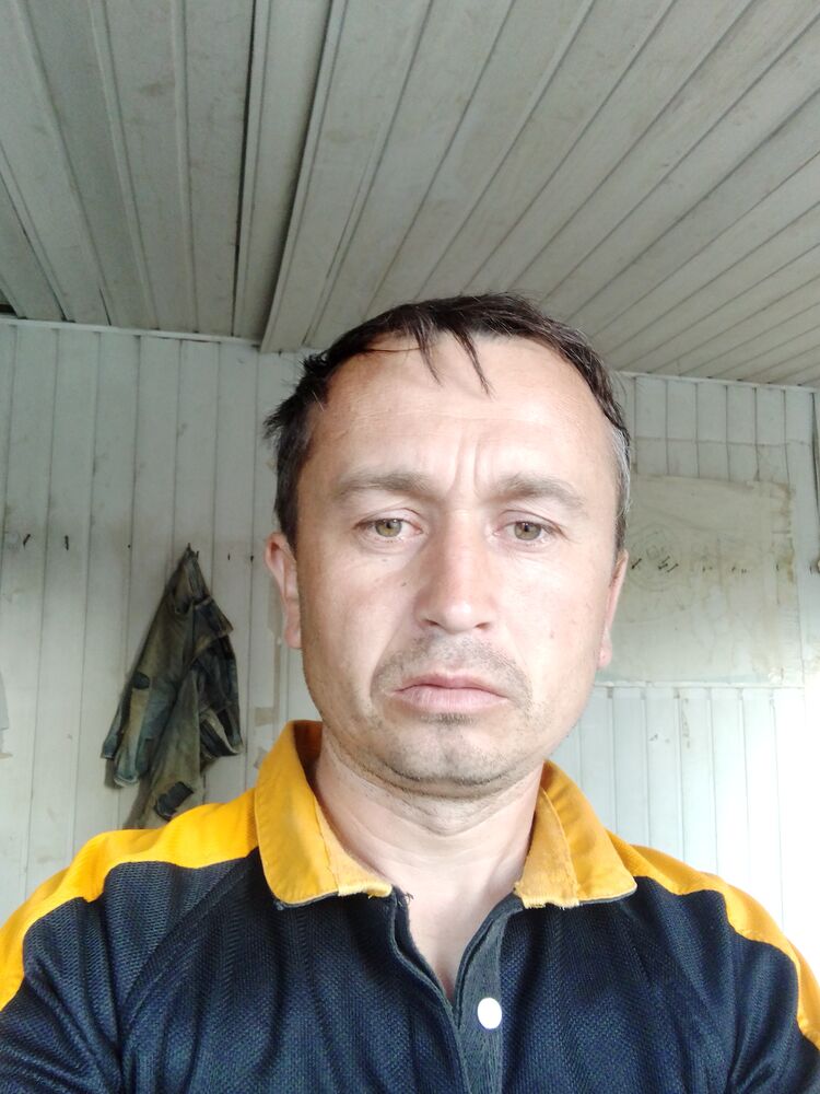  26513850  , 38 ,    
