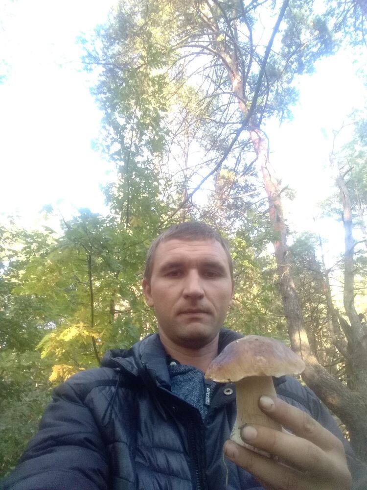 ,   , 41 ,   