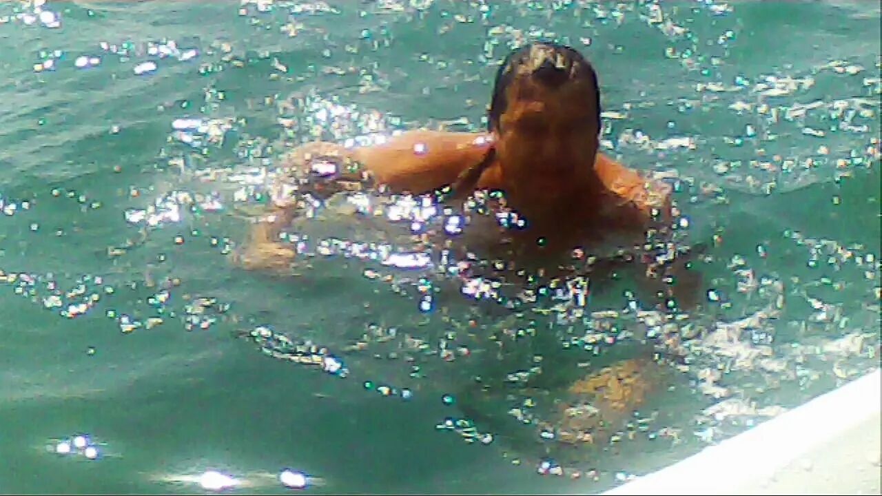  ,   , 58 ,   ,   , 