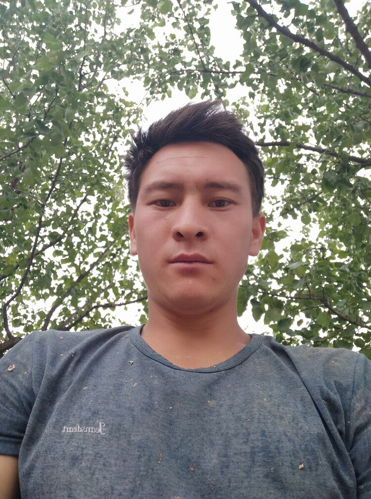 ���� 21026200 ������� �����, 31 ���, ���� ���������� � �������