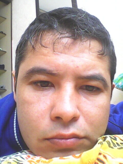 ���� 11700960 ������� Vini, 39 ���, ���� ���������� � ���